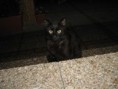 /album/fotogalerie-romeo/img-0676-jpg/