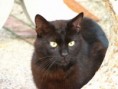 /album/fotogalerie-romeo/img-0892-jpg/