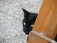 /album/fotogalerie-romeo/img-1114-jpg/