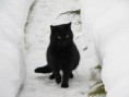 /album/fotogalerie-romeo/img-2317-jpg/