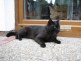 /album/fotogalerie-romeo/img-4597-jpg/