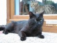 /album/fotogalerie-romeo/img-4598-jpg/