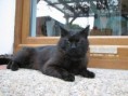 /album/fotogalerie-romeo/img-4599-jpg/
