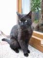 /album/fotogalerie-romeo/img-4601-jpg/